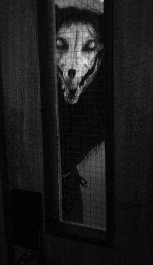 SCP1471.jpg