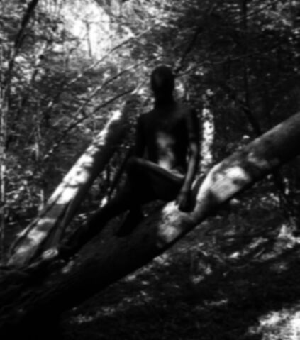 File:Shade.jpg