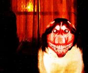Smiledog2