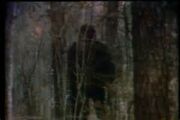 The Fouke Monster