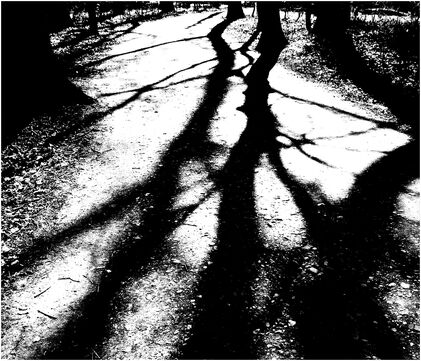 Licht-und-schatten-3b62938d-35e9-41d3-8523-6f913529dd9c