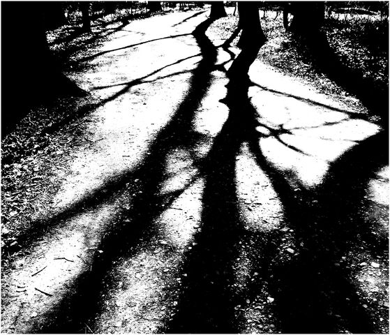 Datei:Licht-und-schatten-3b62938d-35e9-41d3-8523-6f913529dd9c.jpg