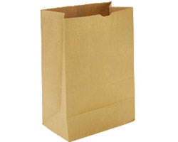 Brown paper bag
