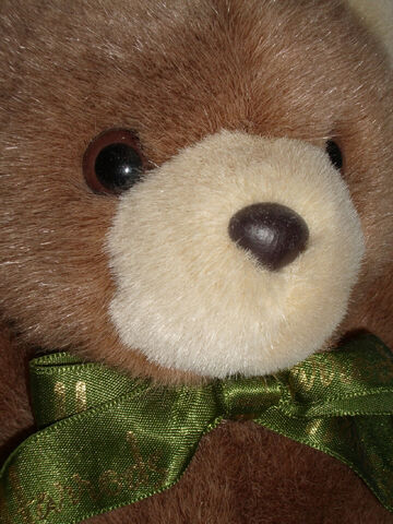 Datei:Teddy-bear-1426329-1279x1705.jpg