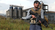 Dayz-173