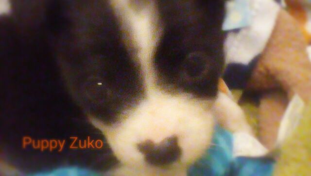 File:IMG 20160113 215647 kindlephoto-493916881.jpg