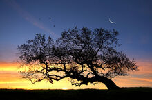Sun and Moon