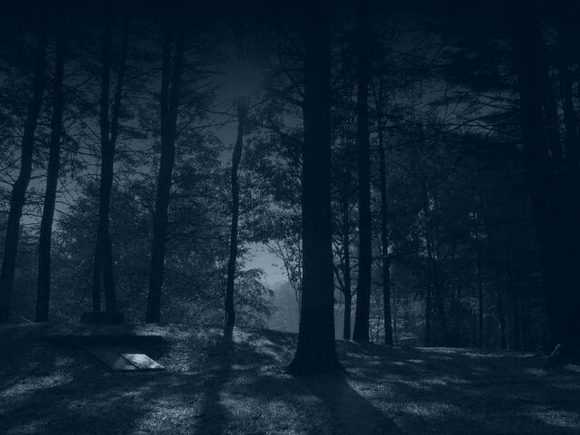 File:Moonlit-forest.jpg
