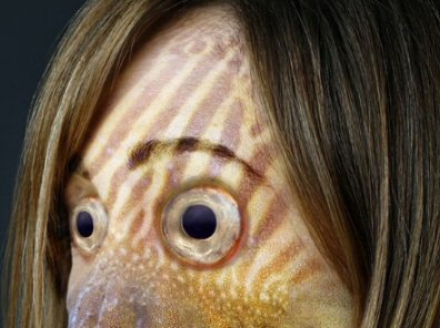 Donkeylady