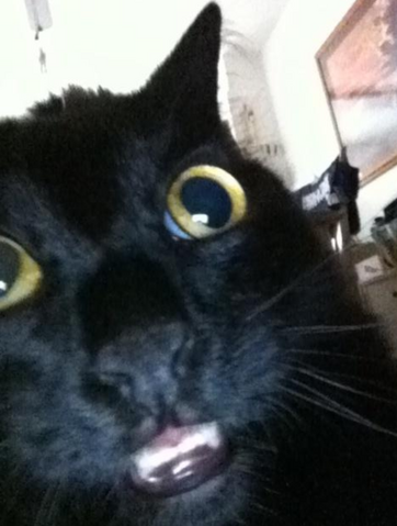 File:Radar (Derp).png