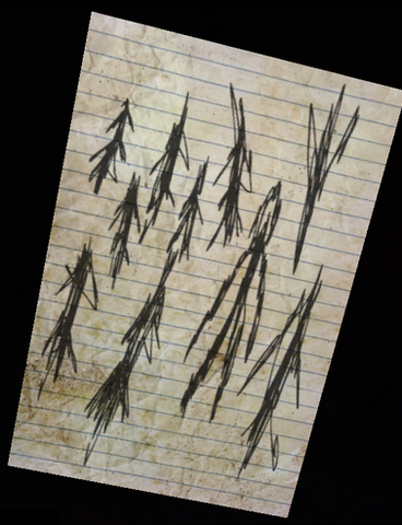 Datei:Drawing in the woods.png