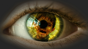 Auge-1