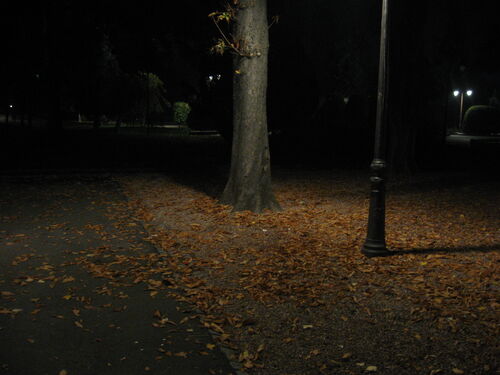 Alley-in-the-dark