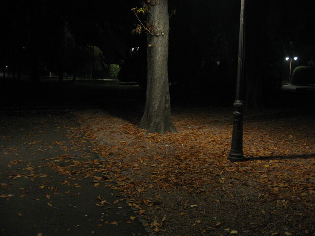 Datei:Alley-in-the-dark.jpg