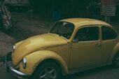 Beetle-828712 1280