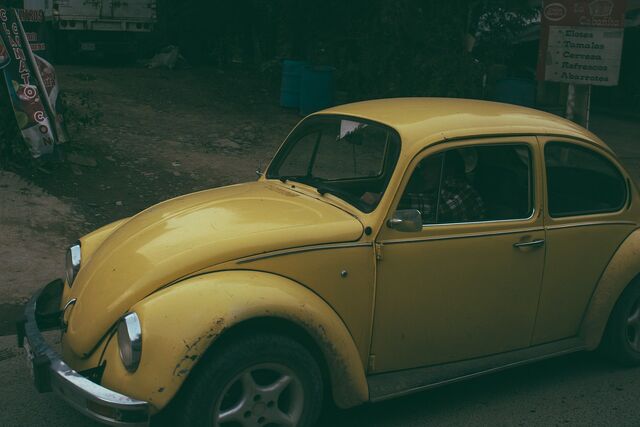 Datei:Beetle-828712 1280.jpg
