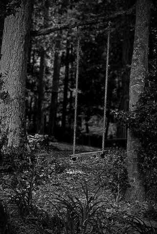 File:Swing.jpg