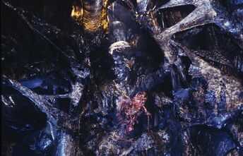 ALIENS victim1280