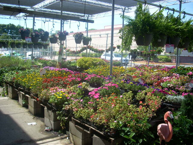 File:DSCN2068 (1).jpg