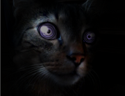HAPPY2.png
