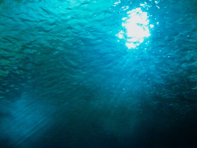 File:IMG 0755.jpg