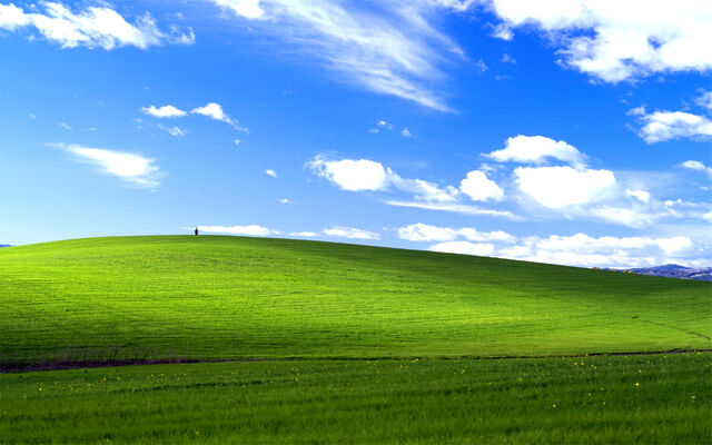 File:Bliss.jpg