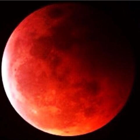 File:Blood moon.jpeg