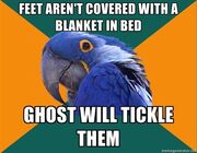 Ghost parrot