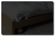Monster-bett