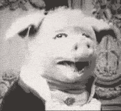 Cerdo