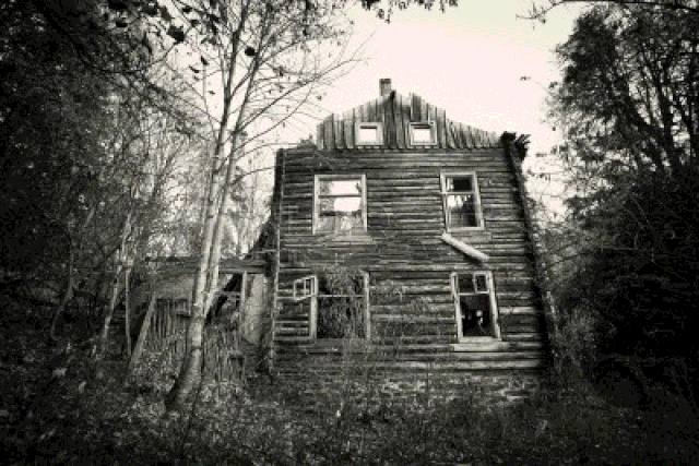 File:PedroScurry.gif