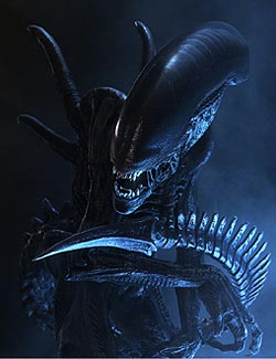 Xenomorph Arbeiter