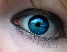 Eyes poke them out