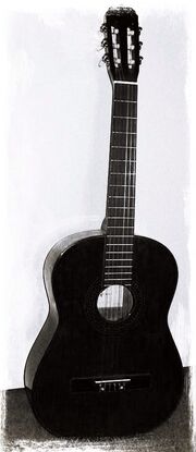 Guitar-nsh