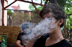 Weed-837125 1280
