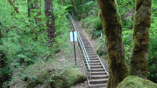 File:Trail16.png