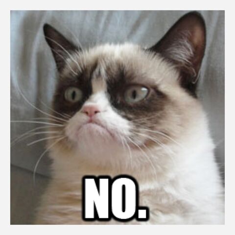 File:Grumpy Cat.jpg