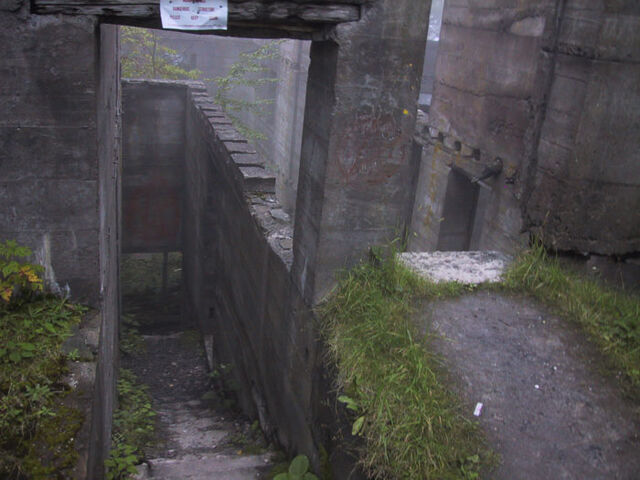 File:Pshot16.jpg
