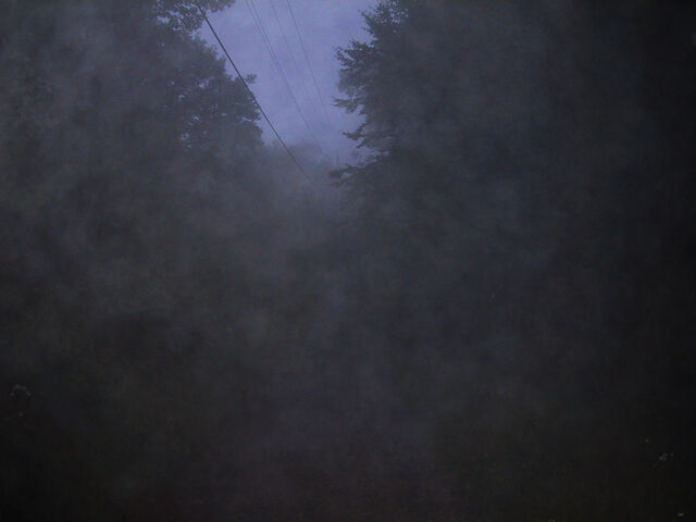 File:Pshot31.jpg