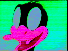 Daffy duck