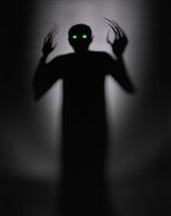 Shadow1