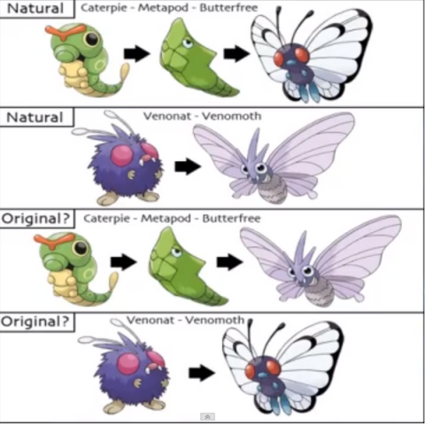 Arquivo:Original.png