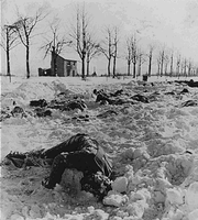 264px-Massacre de Malmedy 23-0224a-1-