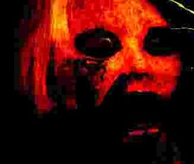 12560129686.jpg