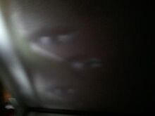 354px-Mypictures 010