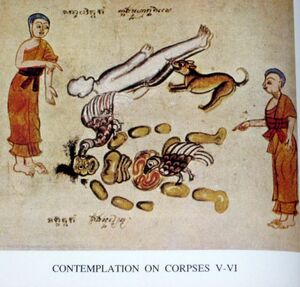 24 contemplation on corpses v-vi.jpg