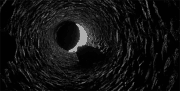 Tumblr m7uotaD0N71ro6ouqo1 500 large.gif