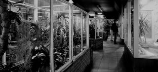 Dis durrell reptile house