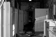 Tumblr lcgjadKsR21qf6xq2o1 400 large.jpg