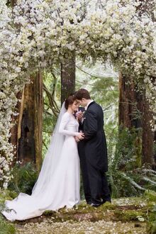 Breakingdawnwedding.jpg